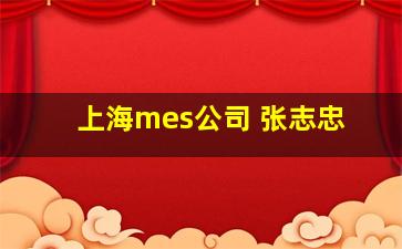 上海mes公司 张志忠